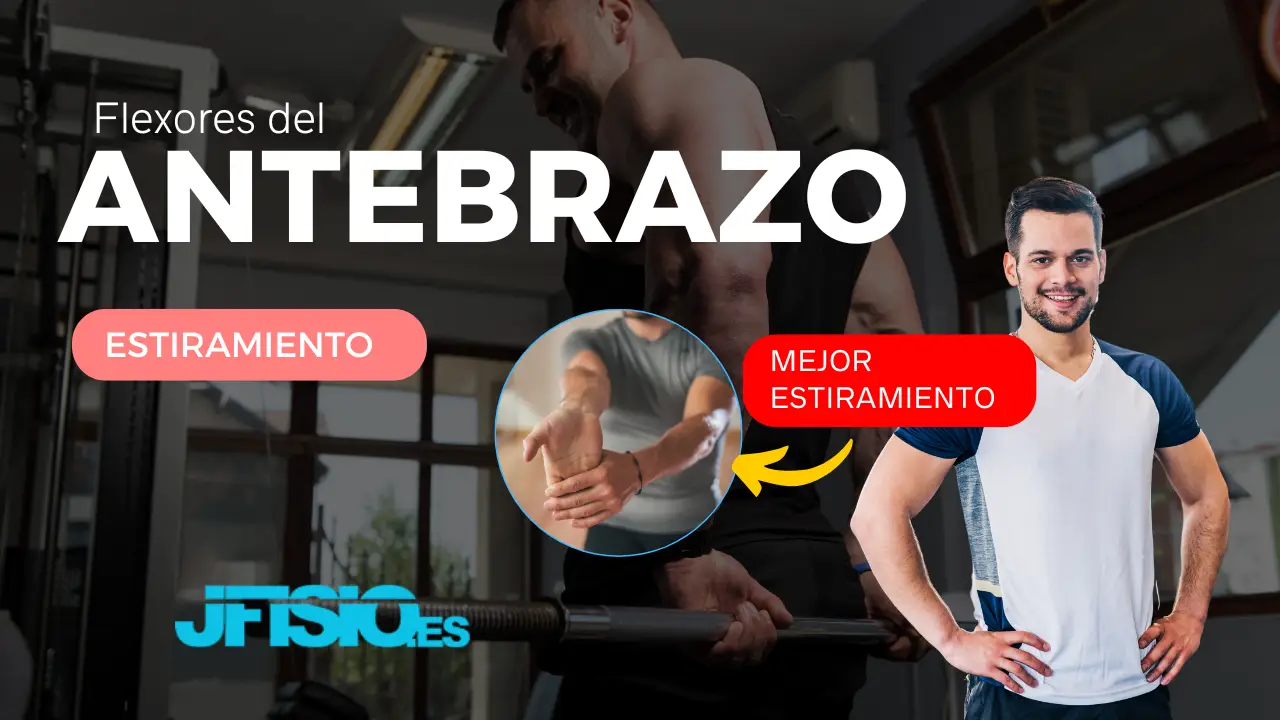 Ejercicio antebrazo jfisiso.es